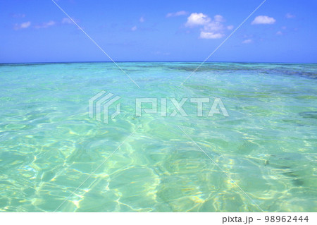 Secluded turquoise beach in Aruba, Caribbean Blue sea, Duth Antilles 98962444