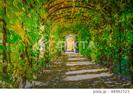 Autumn foliage colors in Vienna public park, Austria Autumn foliage colors in Vienna public park, Austria 98962525