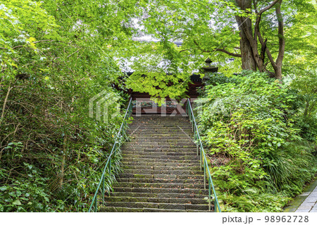【神奈川県】鎌倉にある妙本寺の二天門へ続く石段 98962728