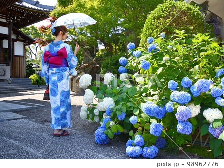 紫陽花と浴衣姿の女性 紫陽花と浴衣姿の女性 98962776