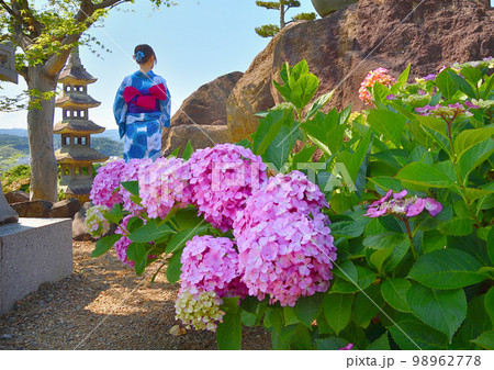 紫陽花と浴衣姿の女性 98962778