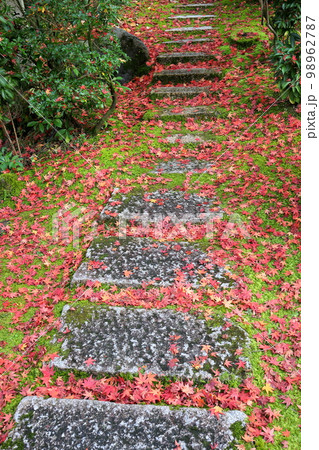 京都府京都市左京区　永観堂として知られる聖衆来迎山無量寿院禅林寺の境内の石段の散紅葉 98962787