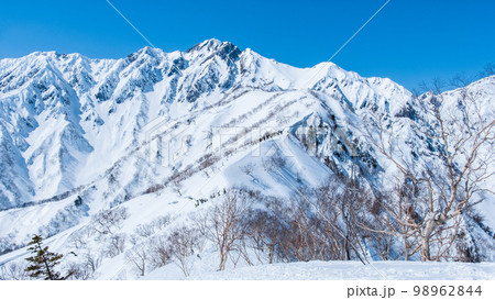 冬の遠見尾根トレッキング：中遠見山から望む五竜岳 98962844