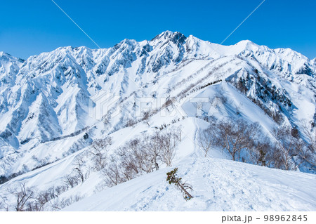 冬の遠見尾根トレッキング:中遠見山から望む五竜岳 冬の遠見尾根トレッキング:中遠見山から望む五竜岳 98962845