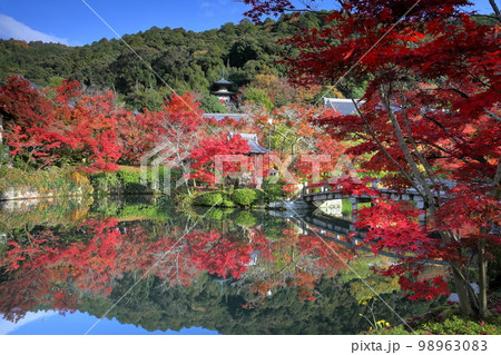 京都府京都市左京区　永観堂として知られる聖衆来迎山無量寿院禅林寺の放生池を囲む紅葉と池に映る逆さ紅葉 98963083