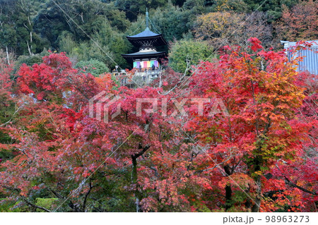 京都府京都市左京区　永観堂として知られる聖衆来迎山無量寿院禅林寺の多宝塔と境内の紅葉 98963273