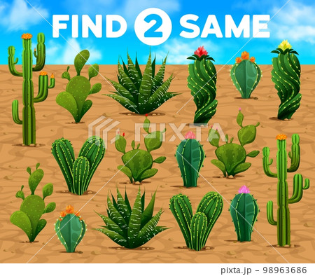 Find two same mexican prickly cactus succulents kids game worksheet. Vector educational matching puzzle with cartoon spiked cacti flower in desert. Children riddle, leisure activity, brain teaser quiz Find two same mexican prickly cactus succulents kids game worksheet. Vector educational matching puzzle with cartoon spiked cacti flower in desert. Children riddle, leisure activity, brain teaser quiz 98963686