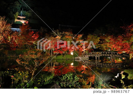 京都府京都市左京区 永観堂として知られる聖衆来迎山無量寿院禅林寺の放生池の紅葉ライトアップと逆さ紅葉 京都府京都市左京区 永観堂として知られる聖衆来迎山無量寿院禅林寺の放生池の紅葉ライトアップと逆さ紅葉 98963767