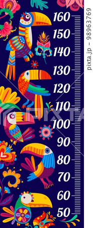 Kids height chart with cartoon brazilian toucan birds. Vector growth meter with colorful funny tropical birds in traditional mexican alebrije style. Wall sticker for children height measurement scale 98963769