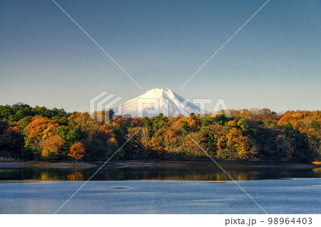 狭山丘陵内の多摩湖から見る冬の富士山と前景の丘陵の森と湖面 狭山丘陵内の多摩湖から見る冬の富士山と前景の丘陵の森と湖面 98964403