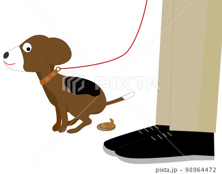 Dog Owners Should Observe Good Manners And... - Stock Illustration  [98964472] - Pixta