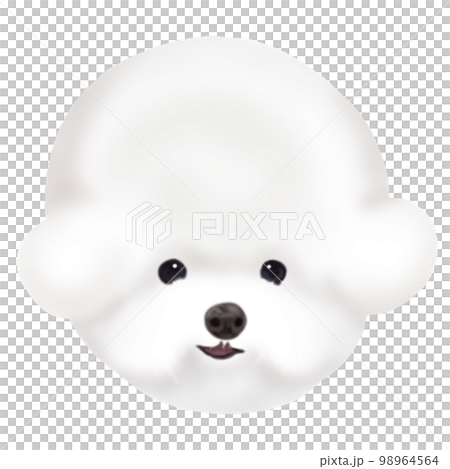 比熊犬臉 98964564