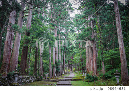 平泉寺白山神社 平泉寺白山神社 98964681