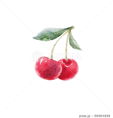 Beautiful clip art with hand drawn watercolor cherry. Stock illustration. 98964898