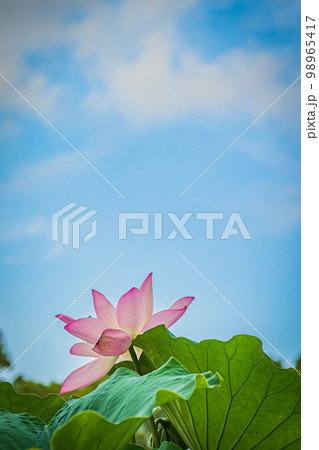 栗林公園の風景 98965417