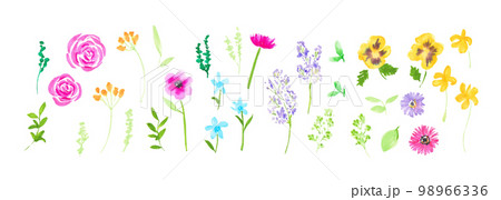 水彩画。水彩タッチの花びらとカラフル植物ベクターイラスト。水彩の植物ベクターセット。 水彩画。水彩タッチの花びらとカラフル植物ベクターイラスト。水彩の植物ベクターセット。 98966336