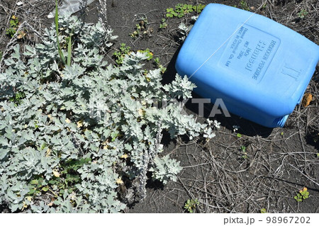 日本海側に漂着する外国製ポリタンク 海洋汚染 写真素材【撮影地:北海道北部】 日本海側に漂着する外国製ポリタンク 海洋汚染 写真素材【撮影地:北海道北部】 98967202