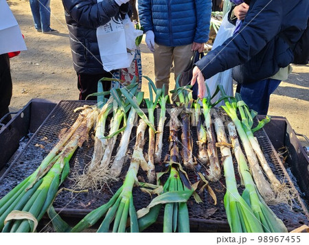 深谷ねぎ 深谷ねぎ 98967455
