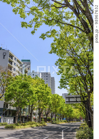 新緑の杜の都仙台 新緑の杜の都仙台 98967632