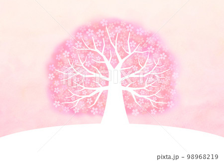 大きな桜の木 98968219