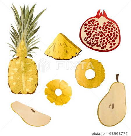 Pineapple pomegranate pear slice set a watercolor  98968772