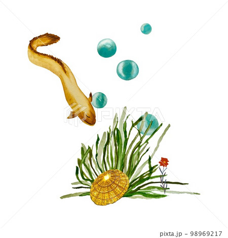 Ell seaweed bubbles flower seashell a watercolor  98969217