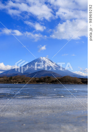 精進湖 富士山 精進湖 富士山 98969292