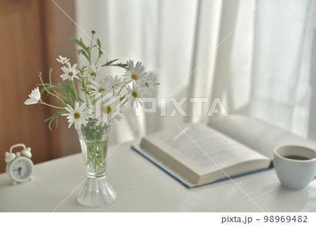 窓辺の花 マーガレット 窓辺の花 マーガレット 98969482