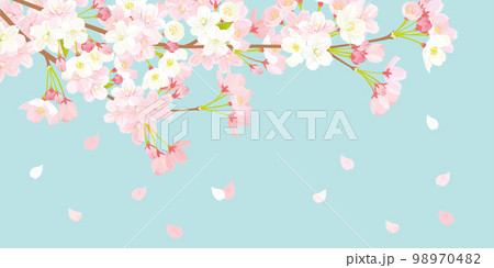 桜 背景イラスト 桜 背景イラスト 98970482