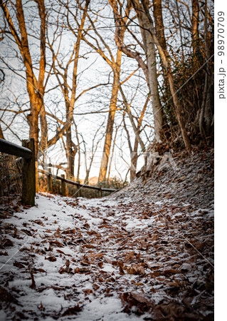 冬の錦大沼公園 98970709