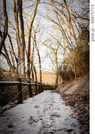 冬の錦大沼公園 98970723