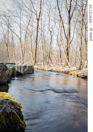 冬の錦大沼公園 98970739