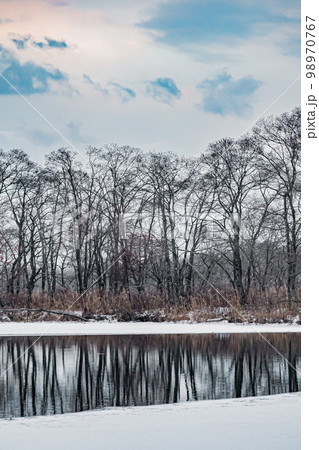 冬のウトナイ湖 98970767