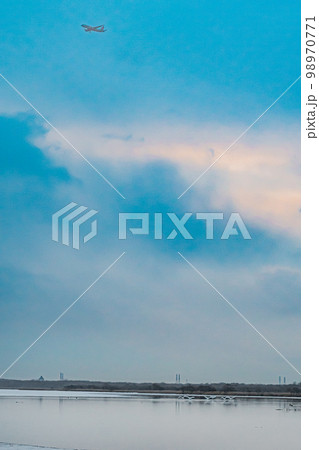 冬のウトナイ湖 冬のウトナイ湖 98970771