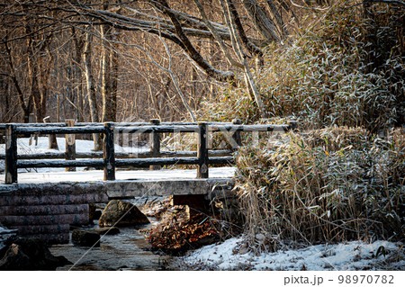 冬の錦大沼公園 98970782