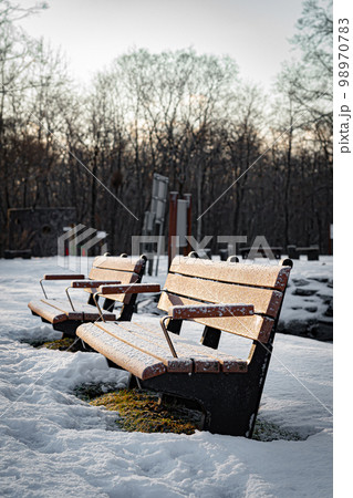 冬の錦大沼公園 98970783