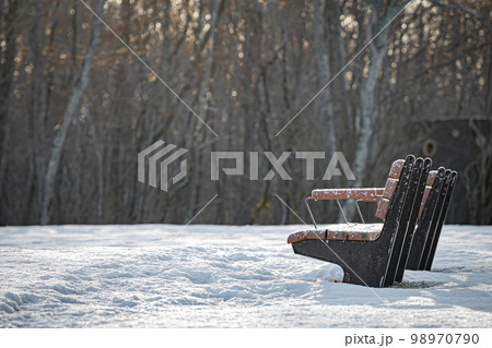 冬の錦大沼公園 98970790