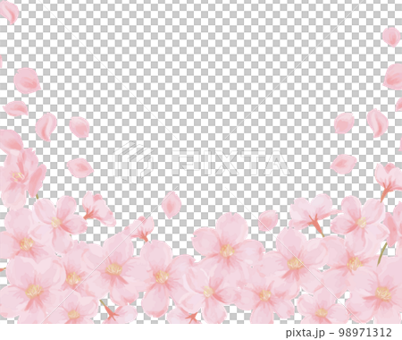 櫻桃背景材料 98971312
