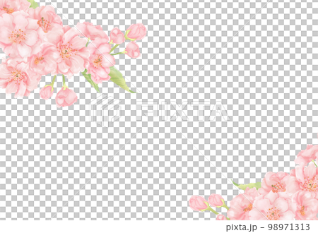 櫻桃背景材料2 98971313