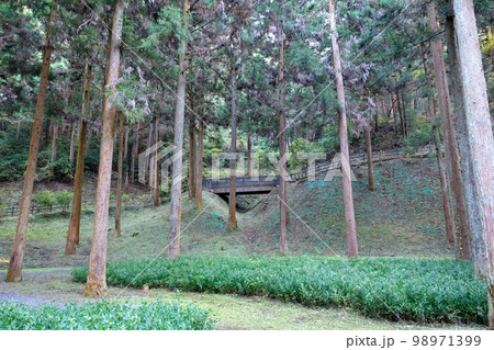 東京都 秋 八王子城址 古道 東京都 秋 八王子城址 古道 98971399