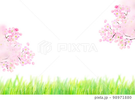 青空と桜と掲示板　水彩イラスト 98971880