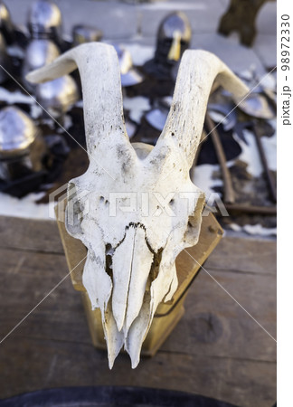 Medieval goat skull 98972330
