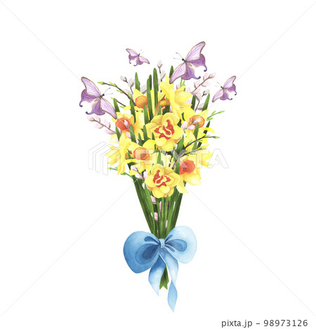 daffodil bouquet with willow, blue bow and butterfly on white. Watercolor hand drawing illustration. Art for decoration 98973126