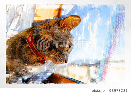 スケッチ風 猫 ネコ ねこ キジトラ グレー 雌 メス 雌ねこ 雌ネコ 元気 かわいい 癒し 98973281