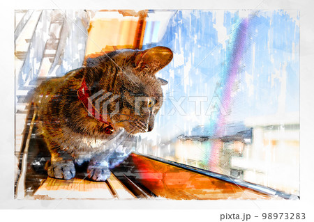 スケッチ風 猫 ネコ ねこ キジトラ グレー 雌 メス 雌ねこ 雌ネコ 元気 かわいい 癒し 98973283