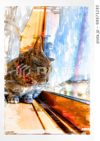スケッチ風 猫 ネコ ねこ キジトラ グレー 雌 メス 雌ねこ 雌ネコ 元気 かわいい 癒し 98973285