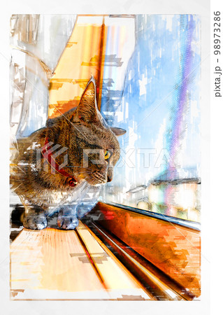 スケッチ風 猫 ネコ ねこ キジトラ グレー 雌 メス 雌ねこ 雌ネコ 元気 かわいい 癒し 98973286