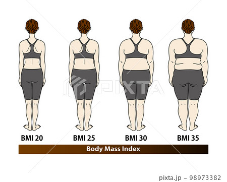 ボディマス指数別の体型変化 女性の後ろ姿  BMI (Body Mass Index) イラスト  98973382