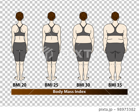 身體質量指數的體型變化女性背部 BMI（身體質量指數）插圖 98973382