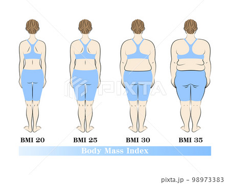BMI指数別の体型変化 女性の後ろ姿 ダイエットのビフォーアフター イラスト ベクター 98973383